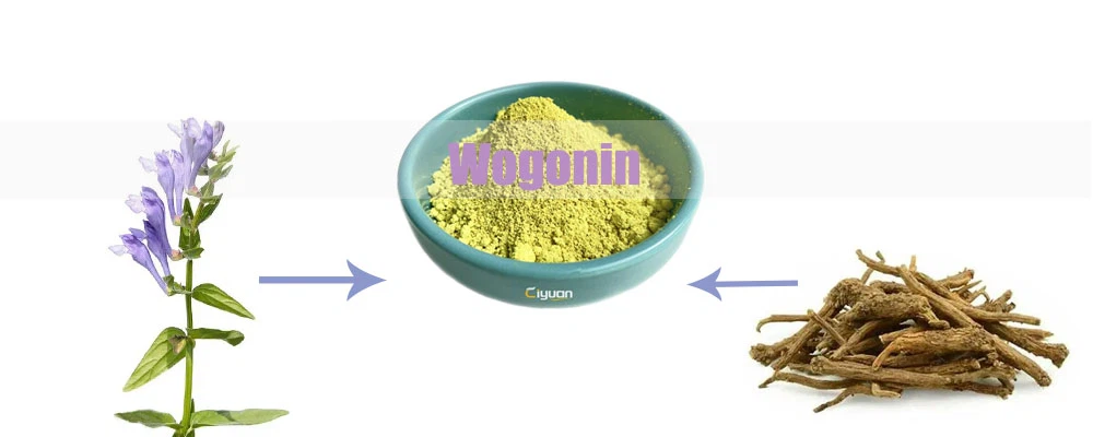 Wogonin Powder.png